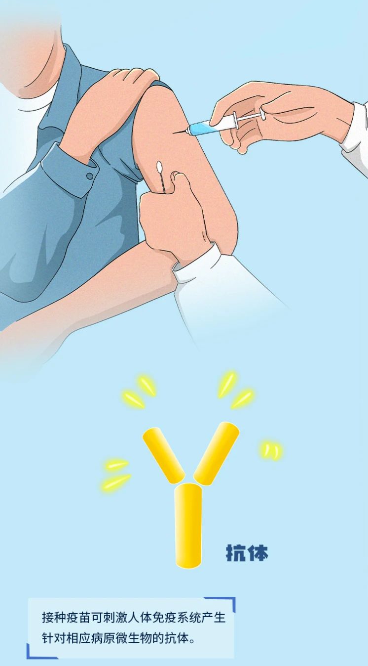 1718244361240096405.jpg